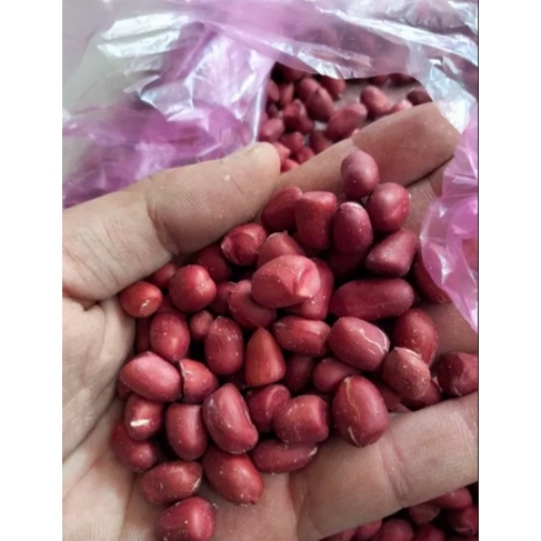 Lạc đỏ Hải Hậu Nam Định
