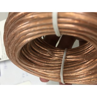 Dây Loa Philips Chính Hãng 9 mét