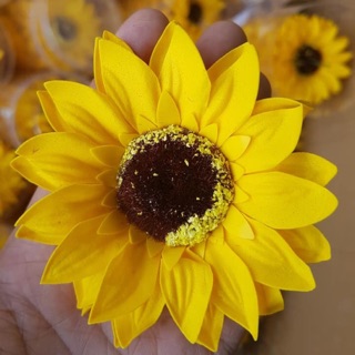 HOA SÁP HOA HƯỚNG DƯƠNG( HỘP 25 BÔNG)