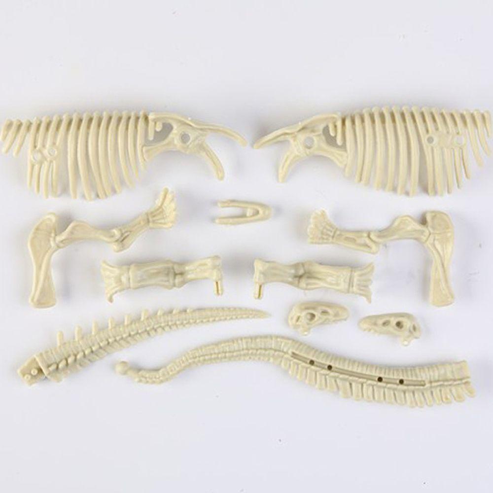 Mô Hình Bộ Xương Khủng Long 3D Độc Đáo Giáo Dục Cho Bé