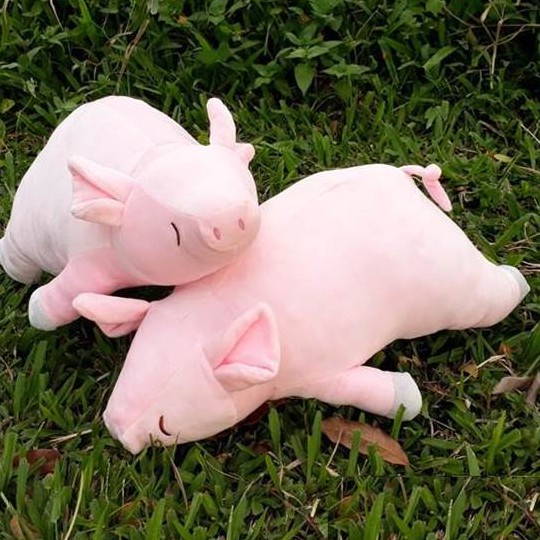 GẤU BÔNG HEO LƯỜI  VẢI NHUNG MỊN HÀNG CAO CẤP