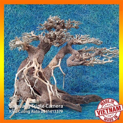 Cây gỗ lũa thủy sinh dùng cho bể cá cảnh, cây gỗ lúa cao cấp (Mẫu 14)