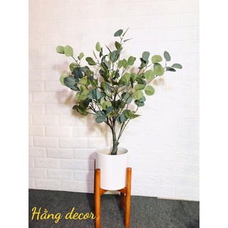 Cây bạch đàn 85cm - cây giả decor