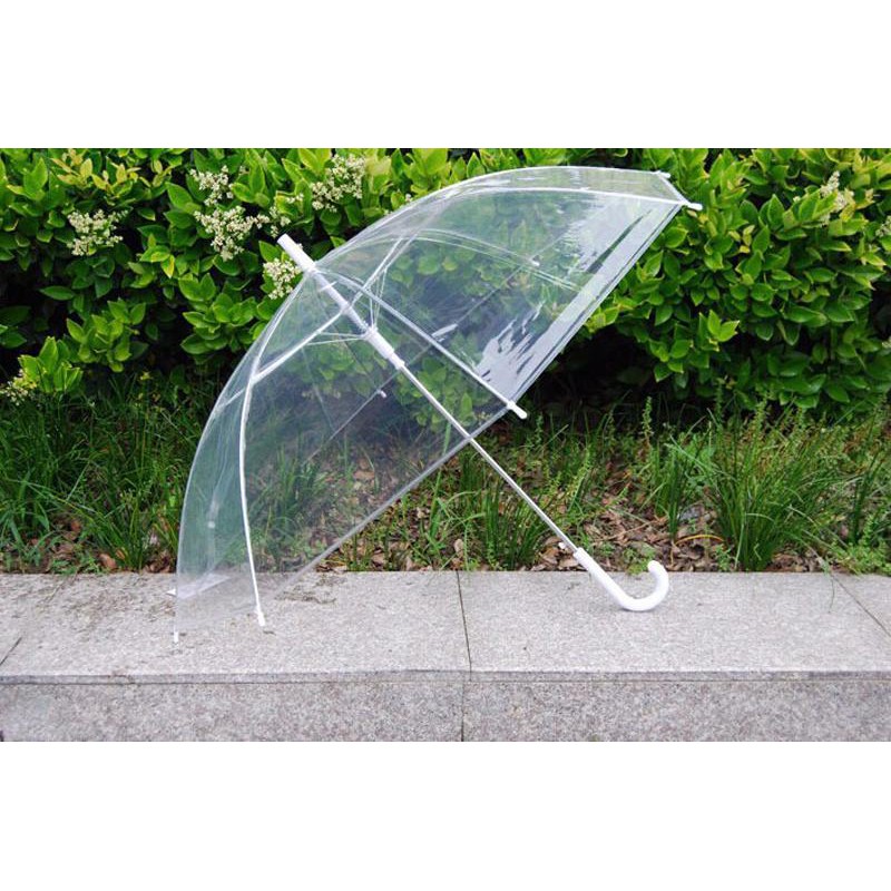 Chụp ảnh thời trang sống ảo hithot, nhựa PVC đẹp, hàng VN bảo hành 3 tháng