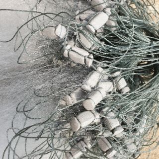 Lưới đánh cá đối