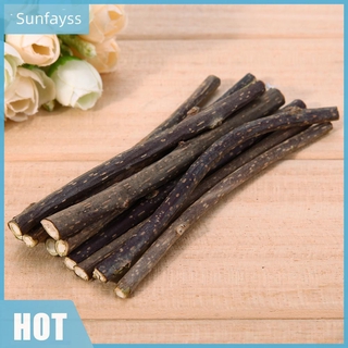 Set 10 cây bạc hà mèo khô làm sạch răng cho mèo