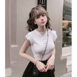 Áo croptop 🌺 freeship 🌺 áo thun nữ kiểu len tăm bo viền cổ tay mềm đẹp - lh117