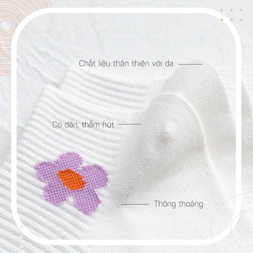 TẤT VỚ NỮ CỔ NGẮN HỌA TIẾT PASTEL