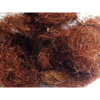 100g Râu ngô khô (râu bắp)