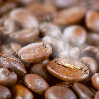(2 Gói 500gr) Combo 1Kg Cà Phê ARABICA Cầu Đất Rang Mộc - BDN Coffee