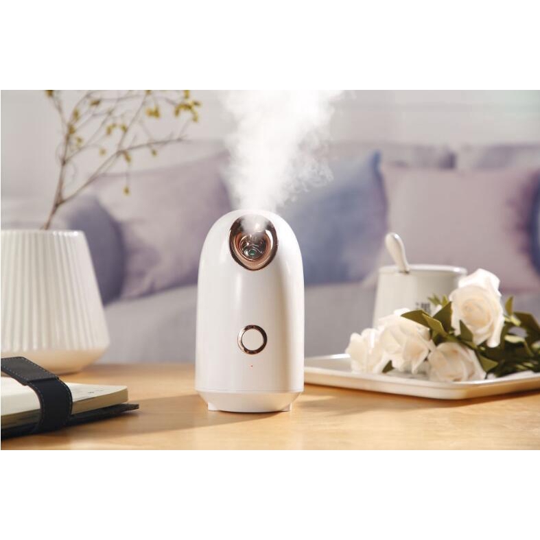 Household steaming face beauty instrument nano spray water meter hot spray home humidifier steam face instrument