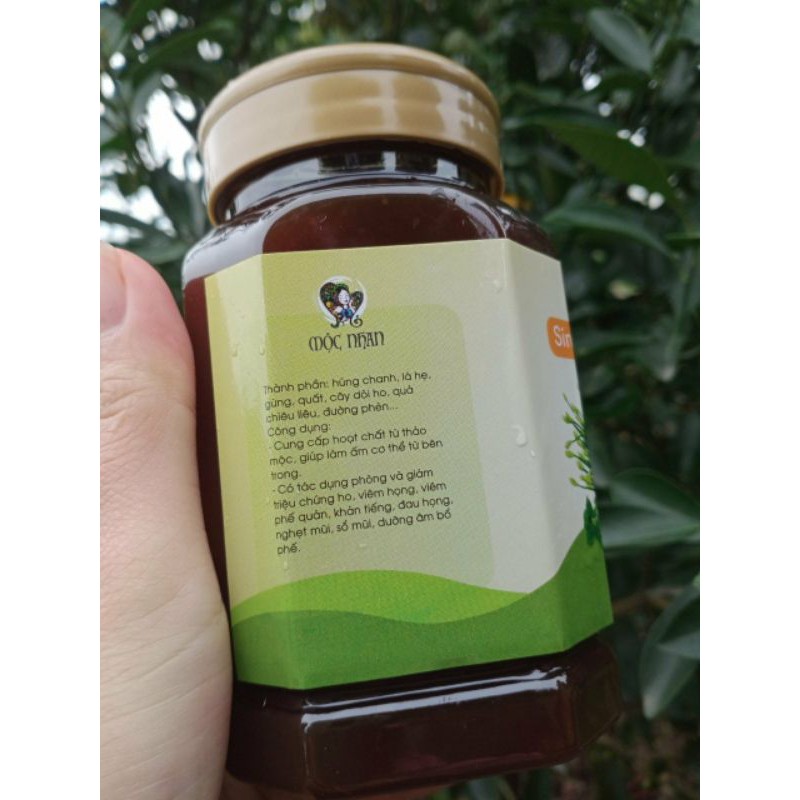 Siro ho Thảo Mộc Cổ Truyền 100% nguyên liệu thiên nhiên phòng và giảm các triệu trứng ho tốt cho cả trẻ sơ sinh 360ml | Thế Giới Skin Care