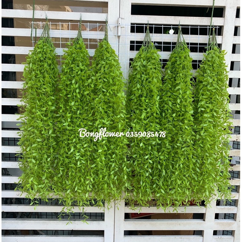 Dây cúc tần Ấn Độ giả dài 100cm, một cụm gồm 5 nhánh trang trí decor siêu đẹp
