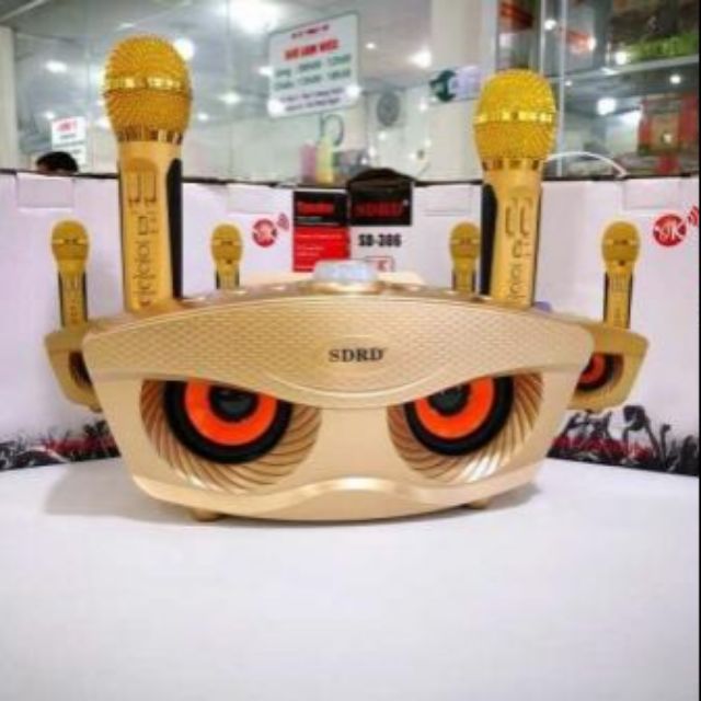 Loa karaoke Bluetooth SDHR_306 ( kèm 2 mic)