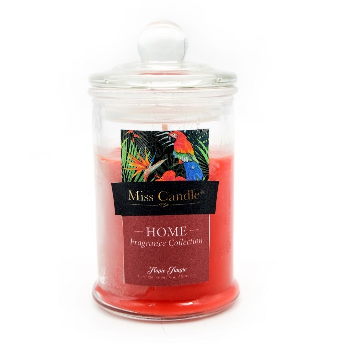 Nến thơm ly thủy tinh D6H11 Miss Candle FTRAMART MIC5678 95g Tropic Jungle (Đỏ, hương trái cây)