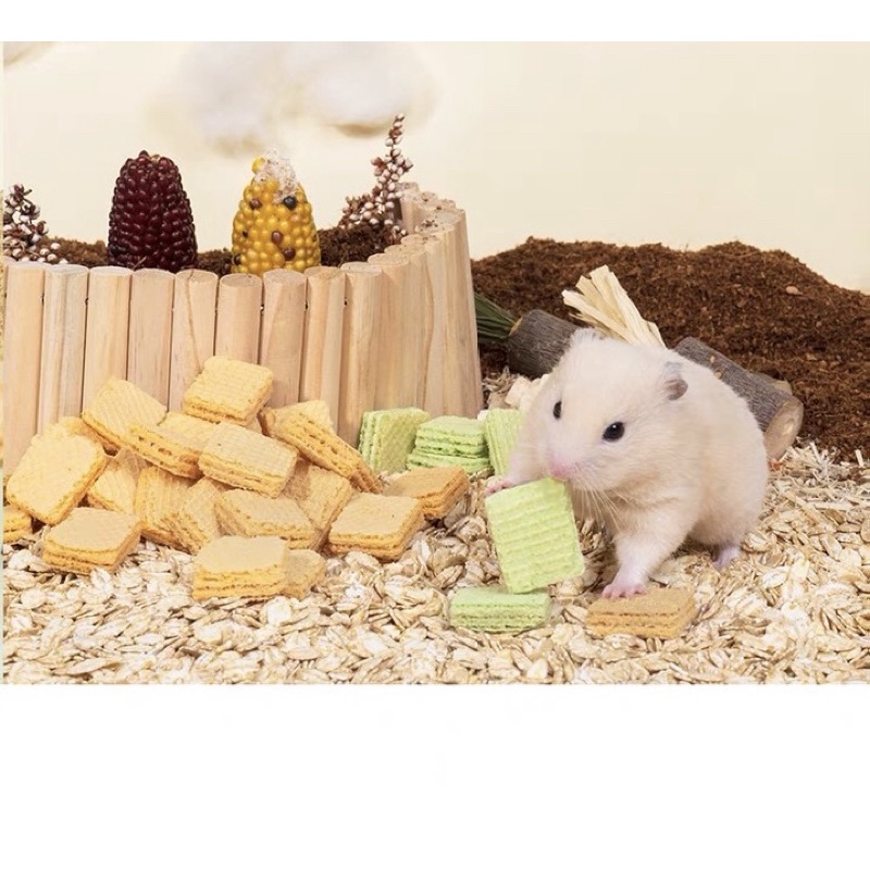 bánh xốp trái cây cho hamster / thỏ/ bọ / sóc/ nhím