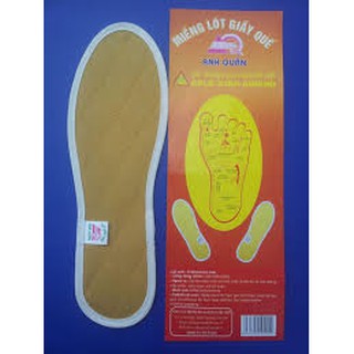 lót giầy quế hàng loại 1