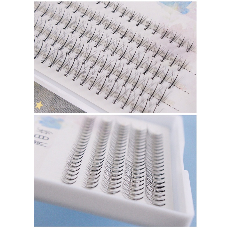 [JUNG] Hộp lông mi giả tự nhiên dạng cụm hỗn hợp 5 hàng