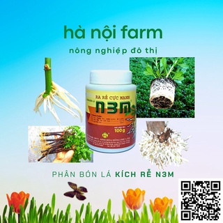 N3M kích ra rễ dạng bột,Kích thích ra rễ cực mạnh- kích thích ra rễ, nảy mầm…- hũ100g