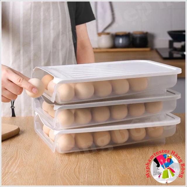 Hộp đựng trứng nhựa nắp dẻo cao cấp