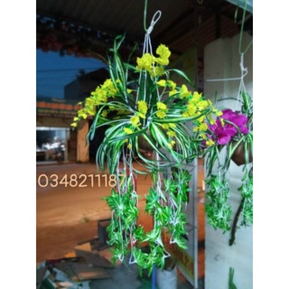 Cây Nhựa Giả - Cụm Rủ Tóc Tiên - Cụm Lá Rủ Trang Trí Nhà Cửa siêu đẹp.