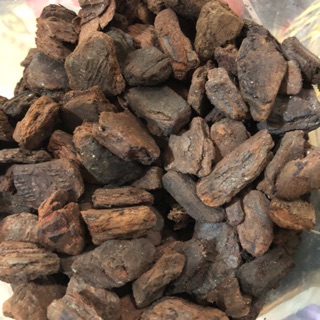 Vỏ Thông chuyên dùng Trồng Lan