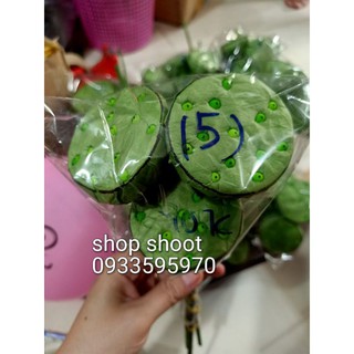 GƯƠNG SEN GIẤY(1 cái)