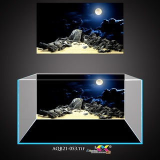 Tranh 3D dán hồ cá - bể cá siêu đẹp và nét, có keo sẵn trên bề mặt, đa dạng kích thước (AQB21-053)