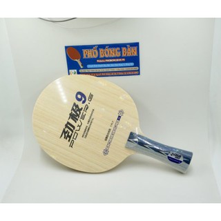 Cốt vợt dhs pg9
