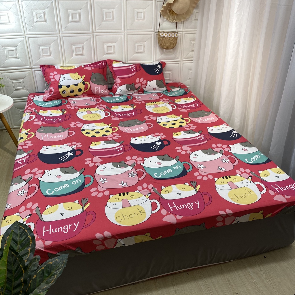 Bộ ga giường cotton 3 món ga bọc thun - Giao màu ngẫu nhiên