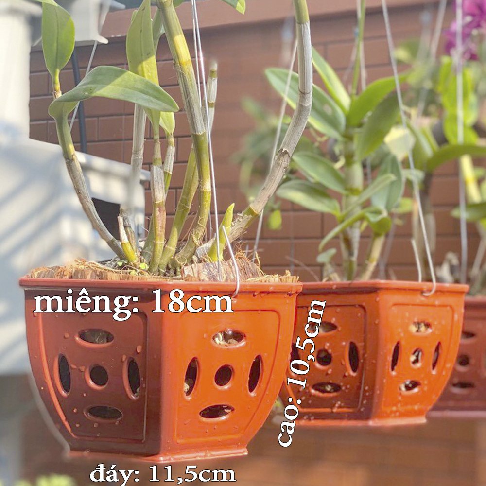 10 Chậu nhựa Đồng Tiền trồng lan cao cấp siêu bền đường kính 18x10.5x11.5cm- 77581