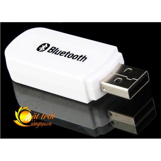 Bluetooth Music Receiver Phiateam H-163