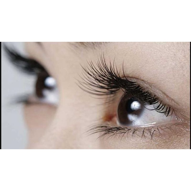 Kẹp bấm mi cao cấp - Kẹp mi chuyên dụng có đệm silicon làm cong mi tự nhiên