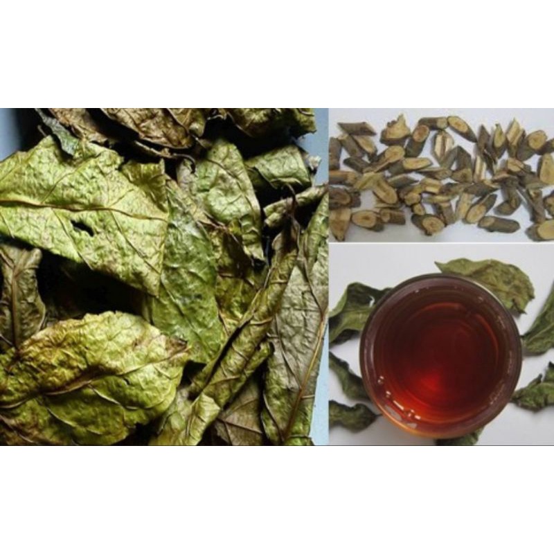 1 ký Xạ Đen hòa bình, mát gan giải độc hỗ trợ u hạch