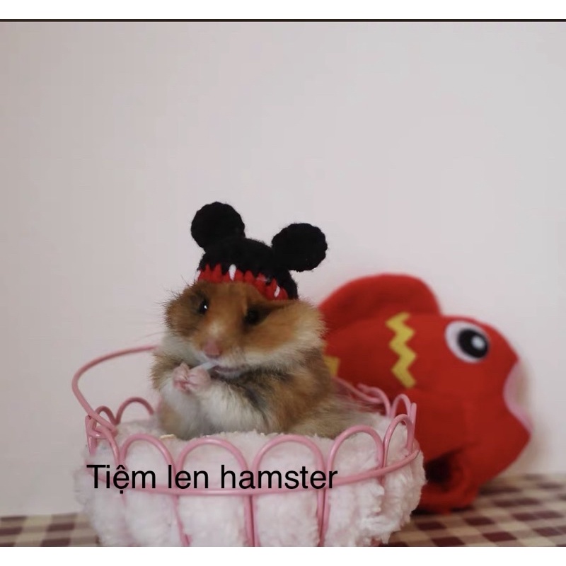 nón mũ cho hamster tai chuột