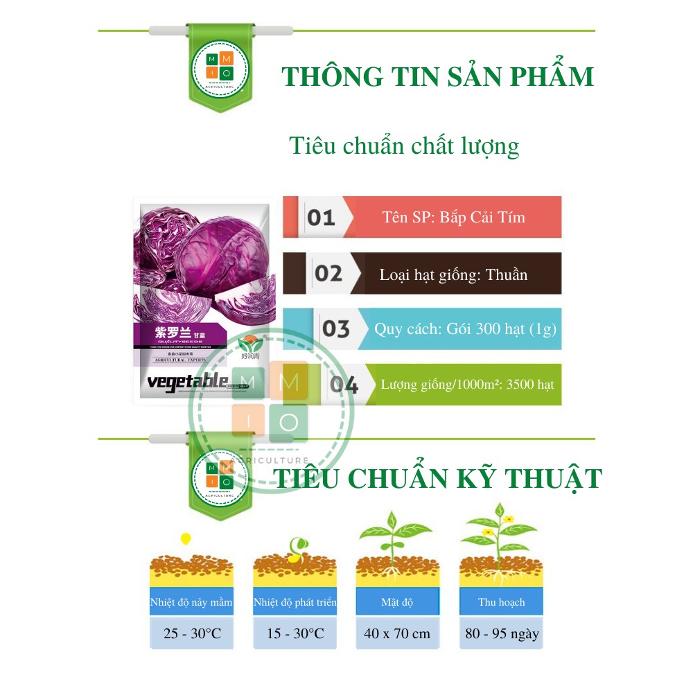 Hạt giống bắp cải tím chịu nhiệt F1