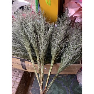 Hoa sao khô ( 1 bó)