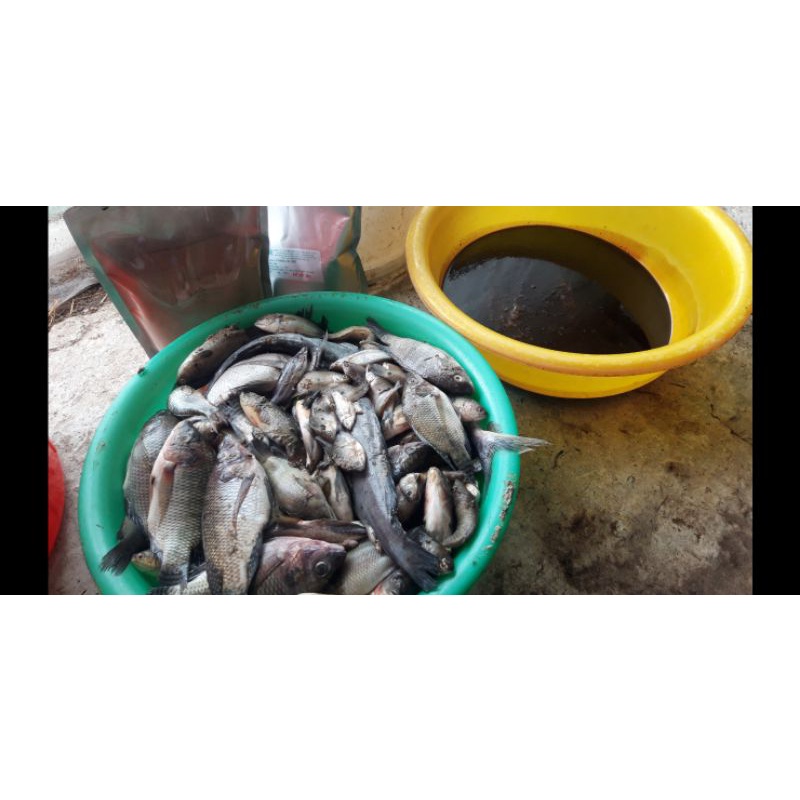 Men vi sinh BIO PHƯƠNG NAM : Chuyên dùng Ủ đạm cá các loại, ủ thức ăn tinh tự chế,....