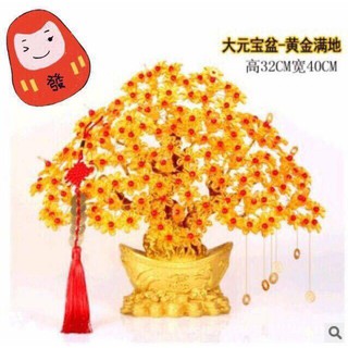 Cây kim tiền thỏi bạc loại to