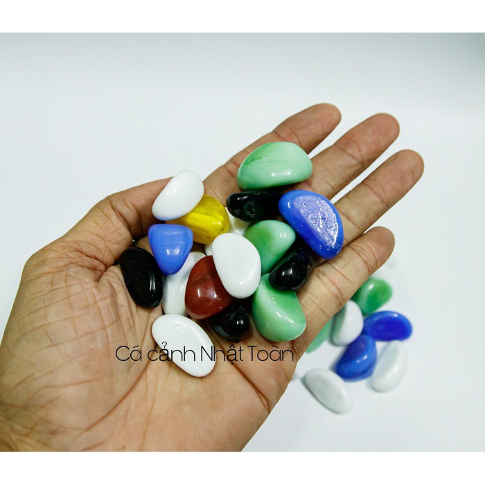 TÚI SỎI ĐỦ MÀU TRANG TRÍ BỀ CÁ 400G