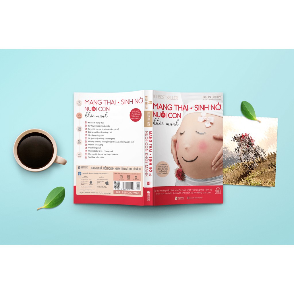 [Mã LIFEXANH24 giảm 10% đơn 99K] Sách - Mang Thai Sinh Nở Nuôi Con Khỏe Mạnh | BigBuy360 - bigbuy360.vn