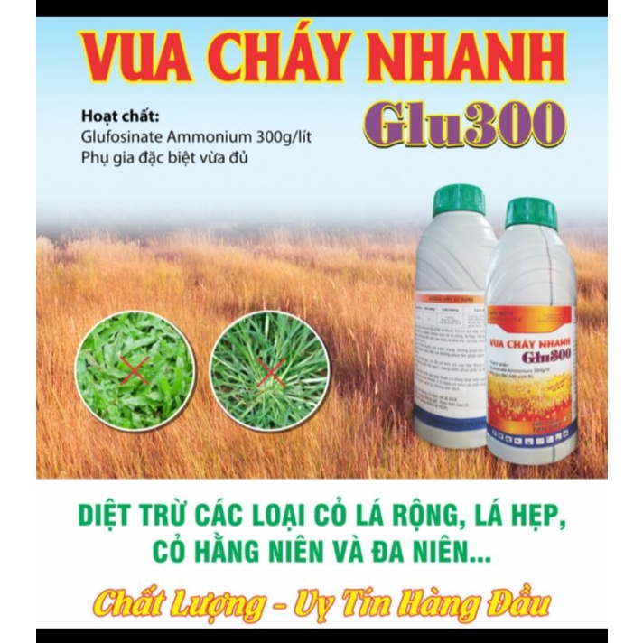 Cỏ cháy Glu300