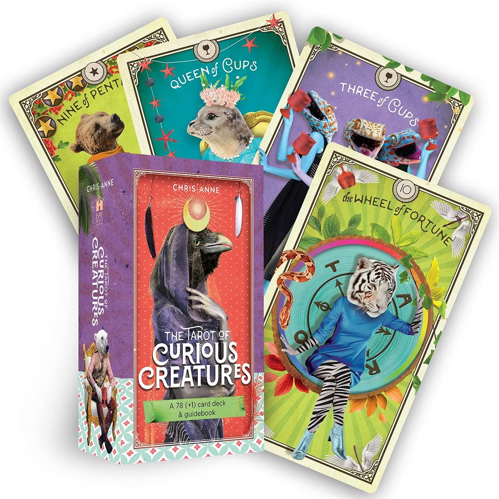 Bộ bài Tarot Of Curious Creatures - AUTH