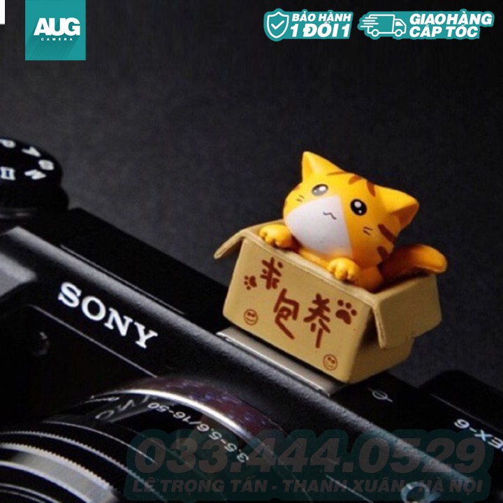 Hotshoe hình Mèo Cute cài chân che flash máy ảnh - AUG Camera Hà Nội