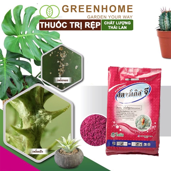 Thuốc tím trị rệp, Starkle-G, bao 1kg, lưu dẫn, an toàn, hiệu quả, dùng cho sen đá, xương rồng |Greenhome