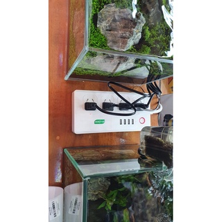 Ổ cắm hẹn giờ wiffi (4 ổ )