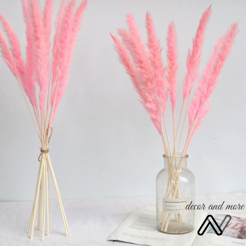 Hoa khô cỏ lau sậy Pampass Grass trang trí, phụ kiện decor chụp ảnh