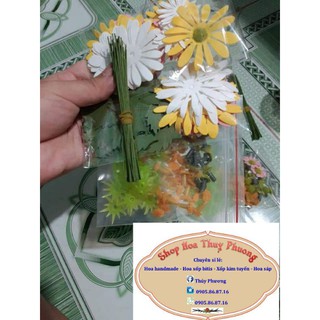 sét 100 đầu bông cúc họa mi