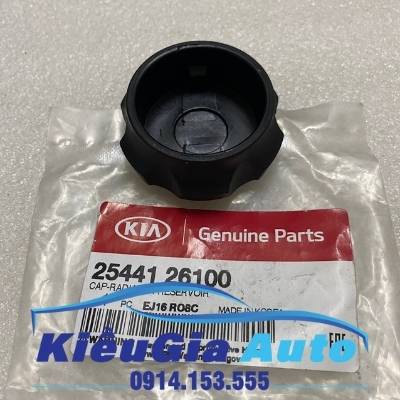 Nắp bình nước phụ Hyundai Getz