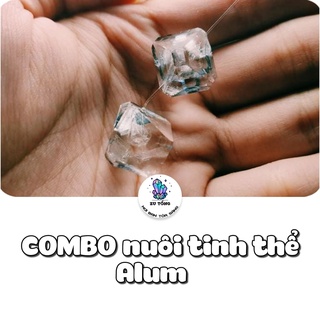 Combo Phèn chua Phèn Crom để nuôi tinh thể
